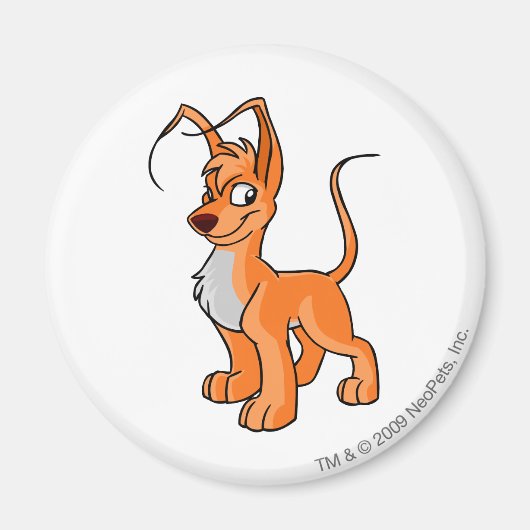 Gelert Sinaasappel Magneet (Voorkant)