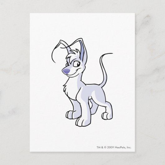 Gelert White Briefkaart (Voorkant)