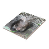 Geleste Porcupine Tile Tegeltje (Zijkant)