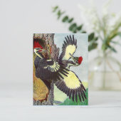 GELICHTE WOODPECKERS TREKKEN BRIEFKAART VAN DE NES (Staand voorkant)