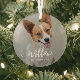 Geliefde bijschrift Gepersonaliseerde foto Ornamen Glas Ornament