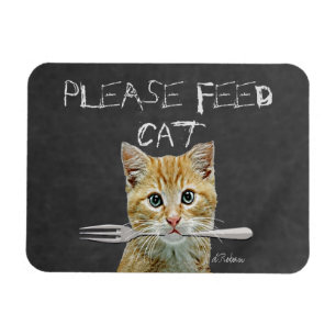 Gelieve te dienen om katten te eten magneet
