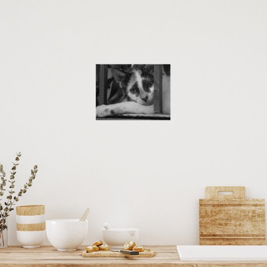 Gelieve te Katten Poster (Keuken)