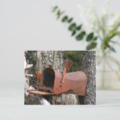 Gelieve te schrijven briefkaart (Staand voorkant)