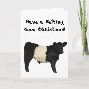 Gelift voor Kerstmis Belted Galloway Beltie Koe Kaart