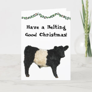 Gelift voor Kerstmis Belted Galloway Beltie Koe Kaart