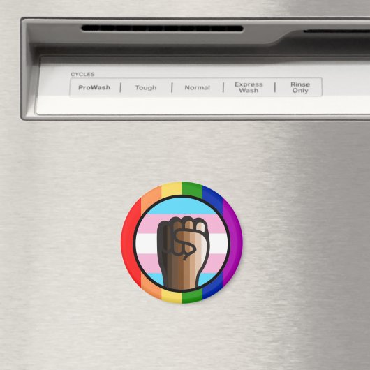 Gelijkheid van onrecht omhelzen magneet (Insitu (Vaatwasser))