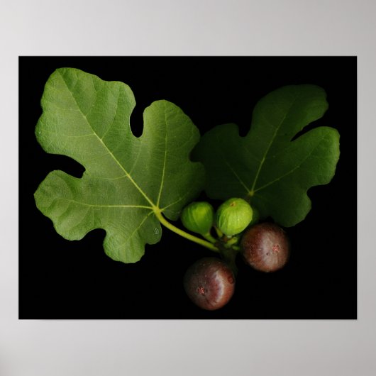 Gelini's vingerafdrukken poster (Voorkant)