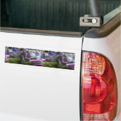 gelkat bumpersticker (Op Truck)