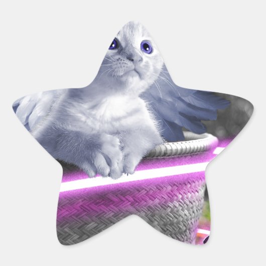 gelkat ster sticker (Voorkant)