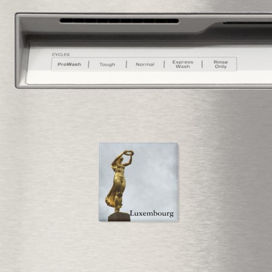 Gëlle Fra Magneet (Insitu (Vaatwasser))