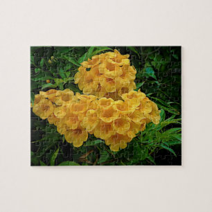 Gellow Ginger Thomas Virgin Islands Flowers Legpuzzel
