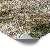 GELLOWSTONE'S MORNENDE GEHEUGENPOOL POSTER (Hoek)