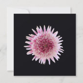 Gelofte Vernieuwing Giant Roze en Witte Gerbera Da Kaart (Achterkant)