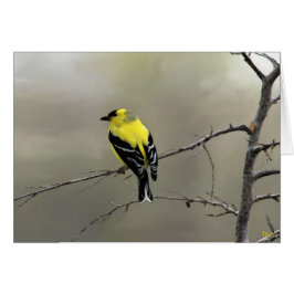 Geloof altijd in jezelf