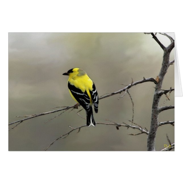 Geloof altijd in jezelf (Voorkant Horizontaal)