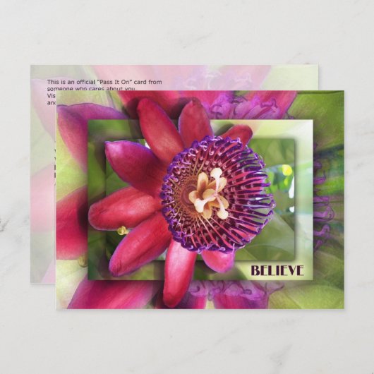 Geloof Briefkaart (Voorkant / Achterkant)