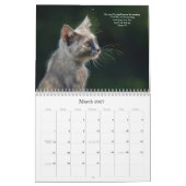 Geloof en fotografie Bijbeltekst kalender (Mar 2027)
