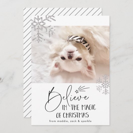 Geloof | Huisdier foto Feestdagenkaart (Voorkant / Achterkant)