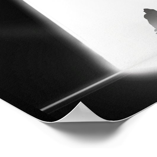 Geloof in Bigfoot en UFO's Poster (Hoek)