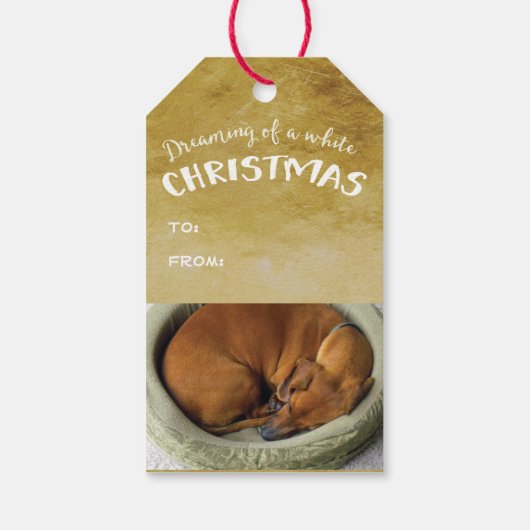 Geloof in de magie cadeaulabel (Achterkant)