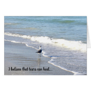 "Geloof" in het Surf