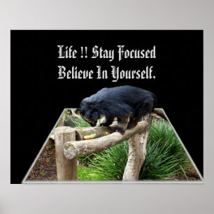 Geloof in je eigen boodschap met Bearcat, Poster