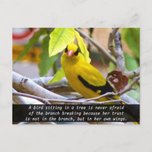 Geloof in jezelf, Gele Vogel op Tak Briefkaart