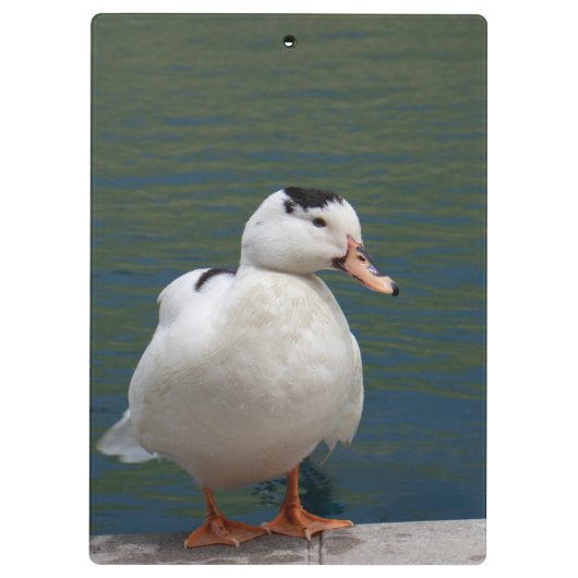 Geloof in jezelf - WEES JE Inspirerend Eend Klembord (Achterkant)