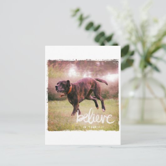 Geloof in uw eigen hond briefkaart (Staand voorkant)
