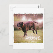 Geloof in uw eigen hond briefkaart (Voorkant / Achterkant)