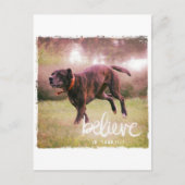 Geloof in uw eigen hond briefkaart (Voorkant)
