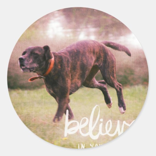 Geloof in uw eigen hond ronde sticker (Voorkant)