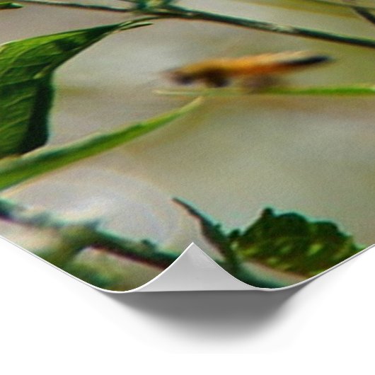 Geloof in uw eigen Motivatie Poster met vlinder (Hoek)