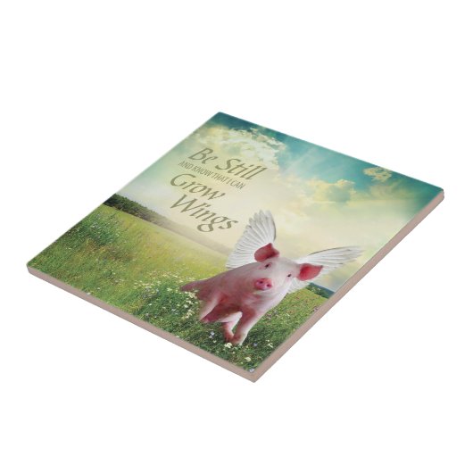 geloof in varkens tegeltje (Zijkant)