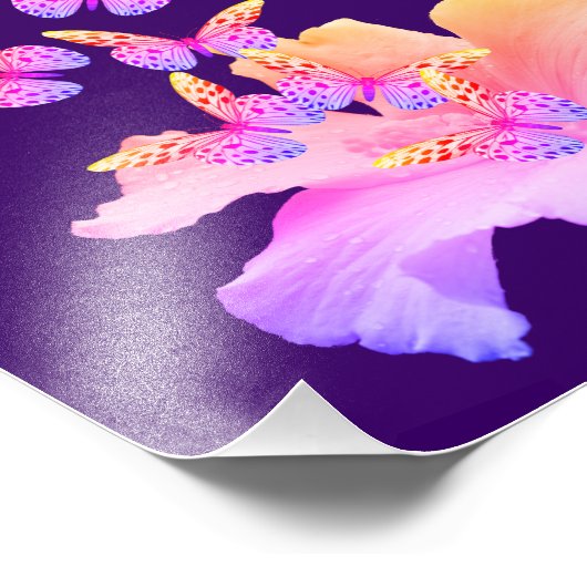 Geloof in wonderen Hibiscus flower Butterflies Foto Afdruk (Hoek)