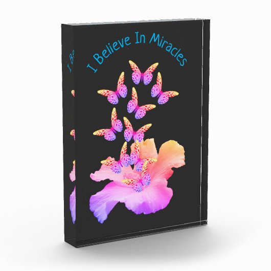 Geloof in wonderen Hibiscus flower Butterflies Fotoblokken (Links)