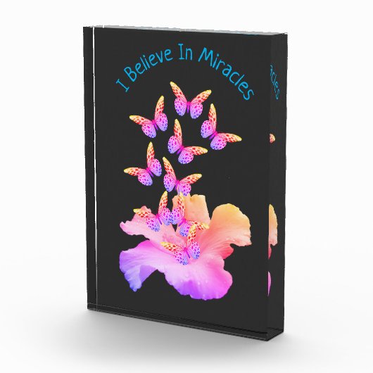 Geloof in wonderen Hibiscus flower Butterflies Fotoblokken (Rechts)