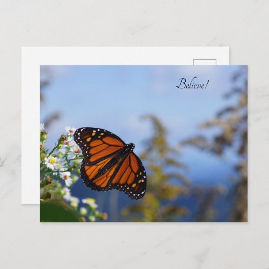 Geloof me! briefkaart (Voorkant / Achterkant)