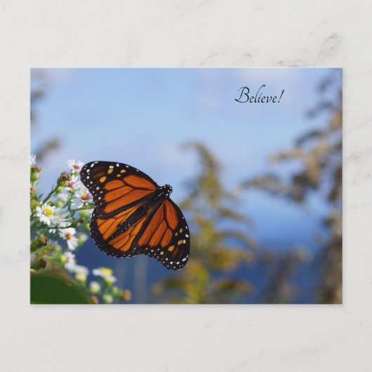 Geloof me! briefkaart (Voorkant)