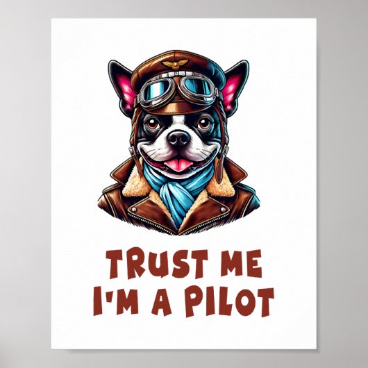 Geloof me, ik ben piloot poster (Voorkant)