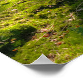 Geloof me. Inspirerend bericht, bewerkbaar. Poster (Hoek)