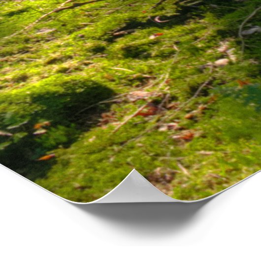 Geloof me. Inspirerend bericht, bewerkbaar. Poster (Hoek)