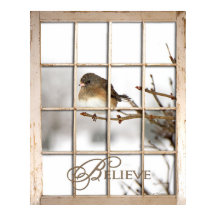 GELOOF POSTER - VOGELGEBIED VIA VENSTER