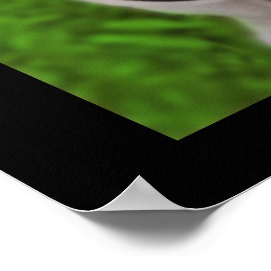 Geloof Pug Frog Poster (Hoek)