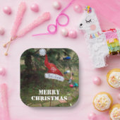 Geloof Vrolijk Kerstmis Santa's Pet Papieren Bordje (Feest)