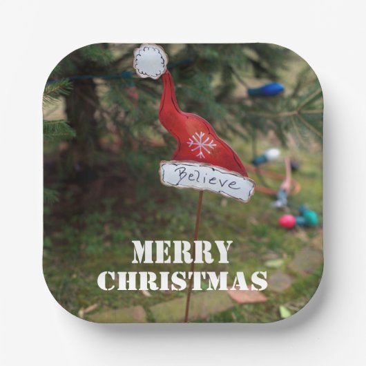 Geloof Vrolijk Kerstmis Santa's Pet Papieren Bordje (Voorkant)