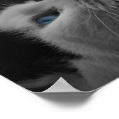 Gelooft u dat u een mooi, Motivatie citaat voor ka Poster (Hoek)