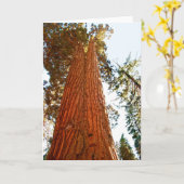 gelovige paardenparasieten, Josemite Kaart (Gele Bloem)