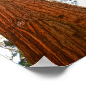 gelovige paardenparasieten, Josemite Poster (Hoek)